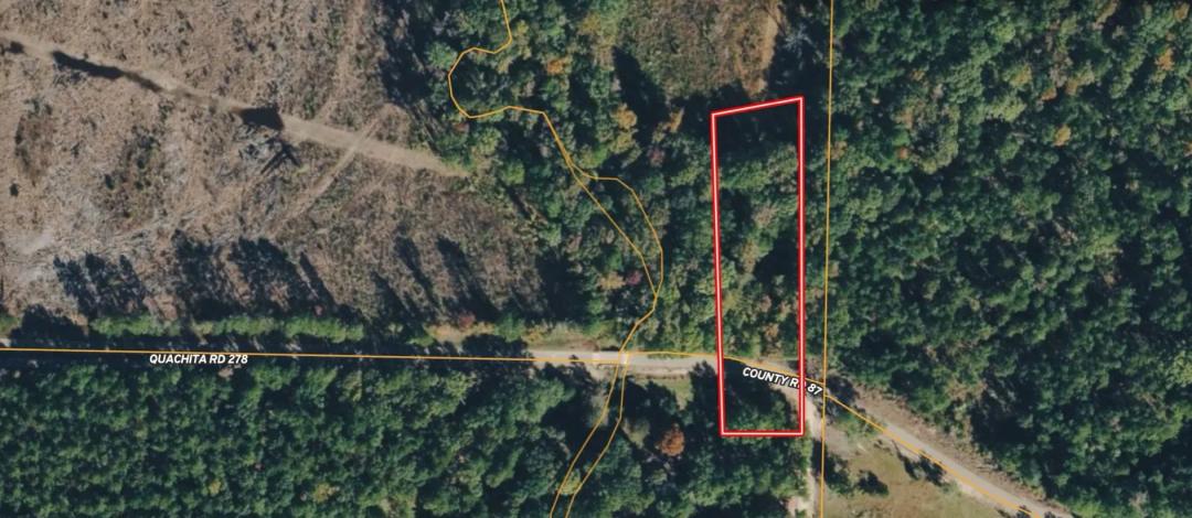 At Auction: 1.5 Acres of Rural Ouachita County, AR Acreage - Opening Bid $100