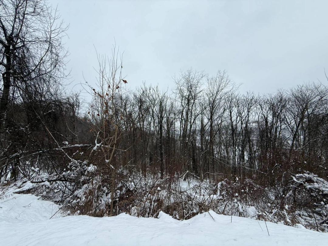 Serene Straub Farm Road Parcel with Elevated River Vistas