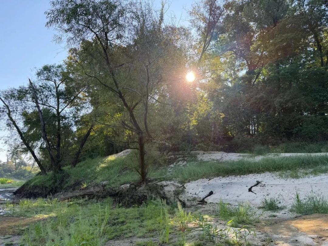 380 Acres in Copiah County, MS
