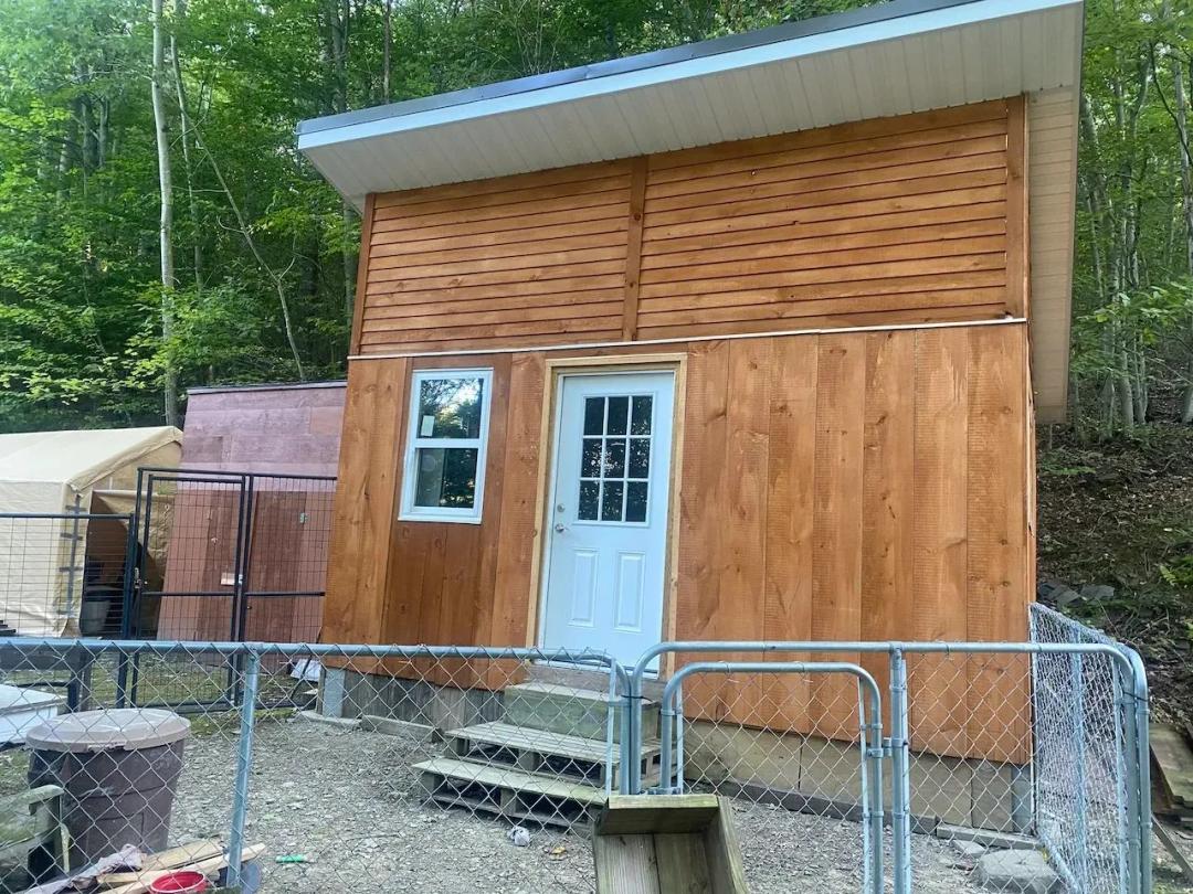 Off Grid Cabin with Hunting and Recreational Land on 11.98 acres in Cuba NY Southern Tier X-Way