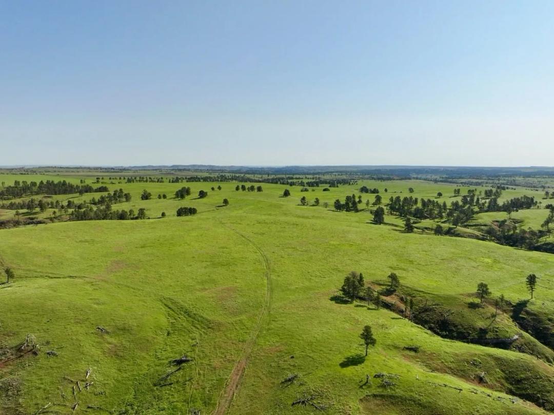 Deadhorse Creek Ranch