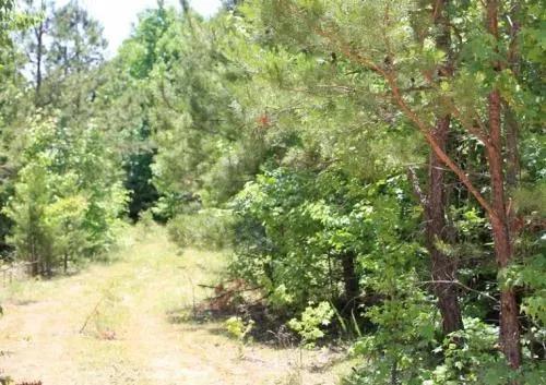 5.9 Acre Hickory Hill Ranch, Electricity