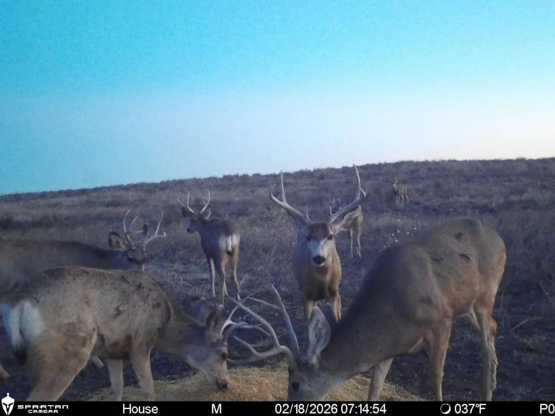 Goff Creek CRP & Hunting Quarter