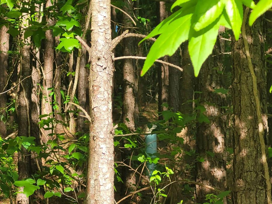 .45 Acre Residential Lot in Lithonia GA