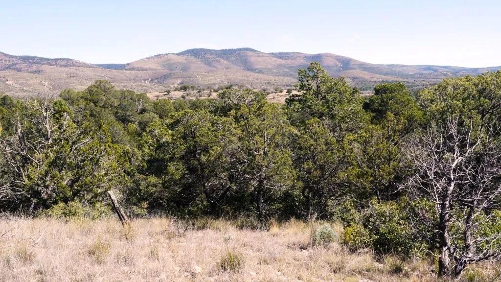 Spacious Corner Lot - off the beaten path - Sacramento Mountains - 35 miles to Cloudcroft