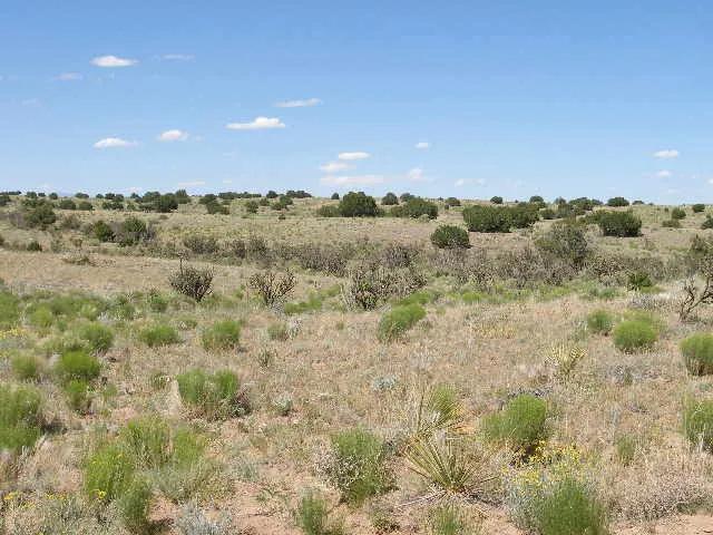 Rio Rancho New Mexico - Undeveloped Residential Lot - Mobiles allowed