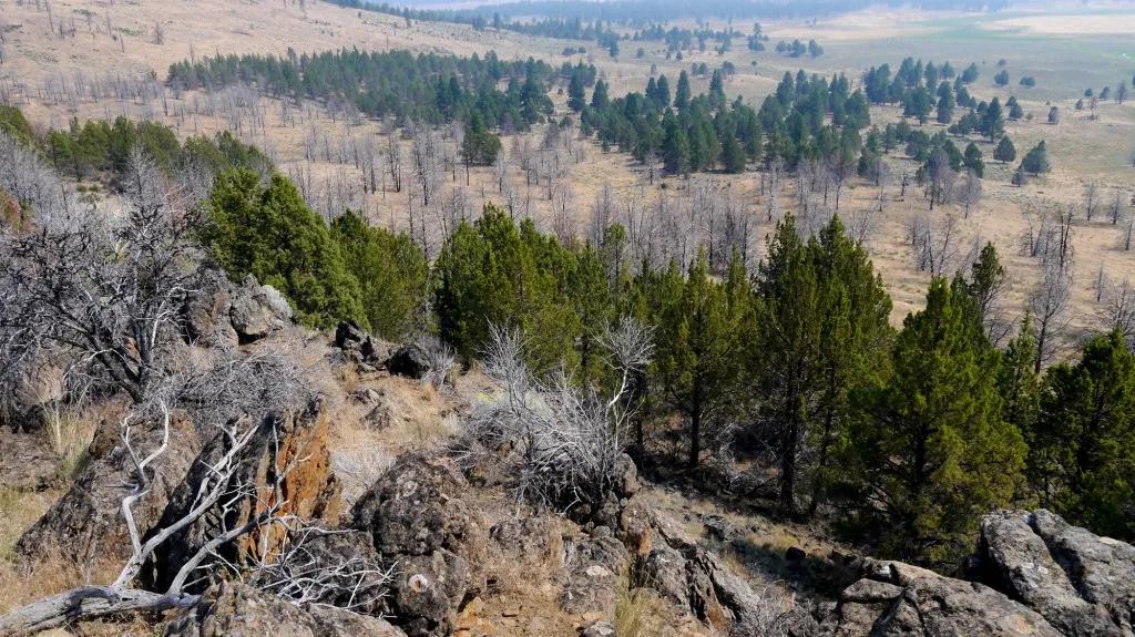 Views for miles - Own the high point of Hill and Ridge - 4 adjoining parcels