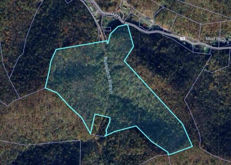 73.59 Acres at 0 Rushpatch Branch