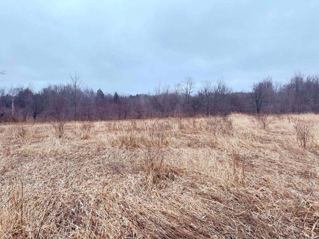 Commercial Land With Ideal Access to I-86 And I-90