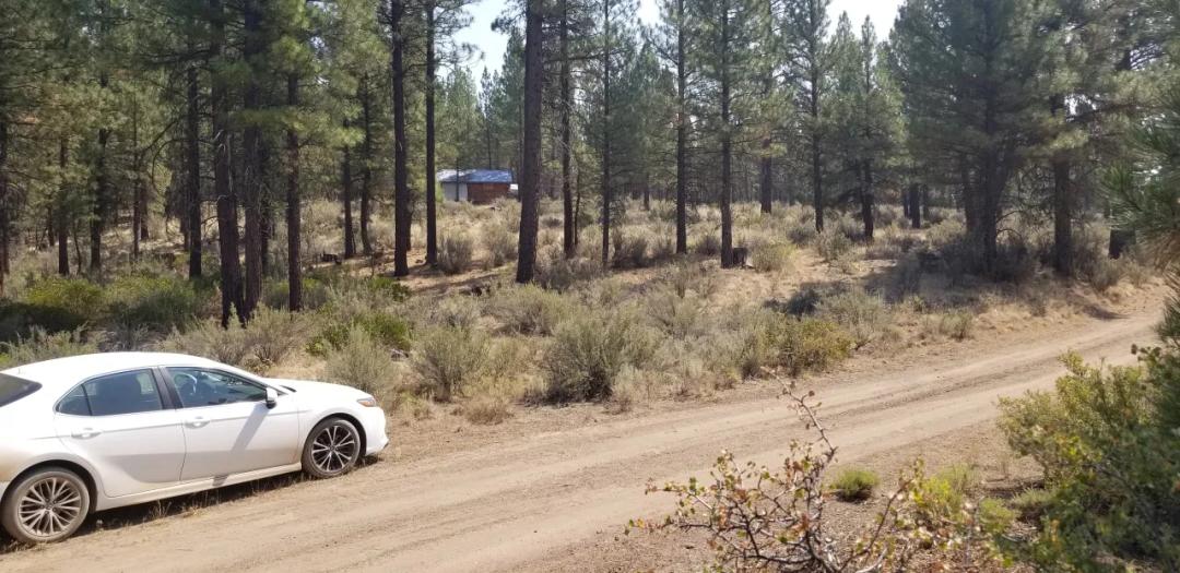 2 Parcels 5 ac + 15 ac - Remote and off the Beaten Path Forested Parcel