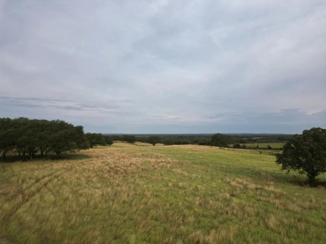 New Listing!! 59.445 Ac, Callahan County
