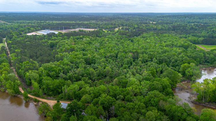 41.75 +/- Acres Marion County, MS (Oatis Camp Lane, Columbia, MS Area)