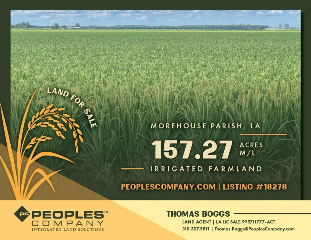 Listing #18278 - 157.27 acres in Morehouse County, LA