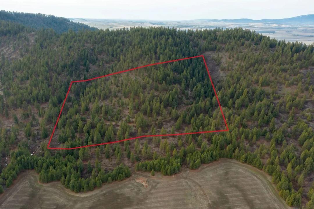 Your Private North Idaho Retreat Starts Here – 15 Wooded Acres!