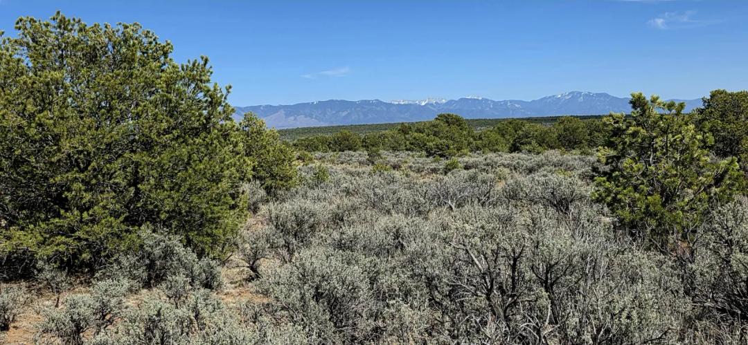 4 adjoining Lots - buy 2 or all 4 - Corner - Some Trees Scenic Views - West of Taos