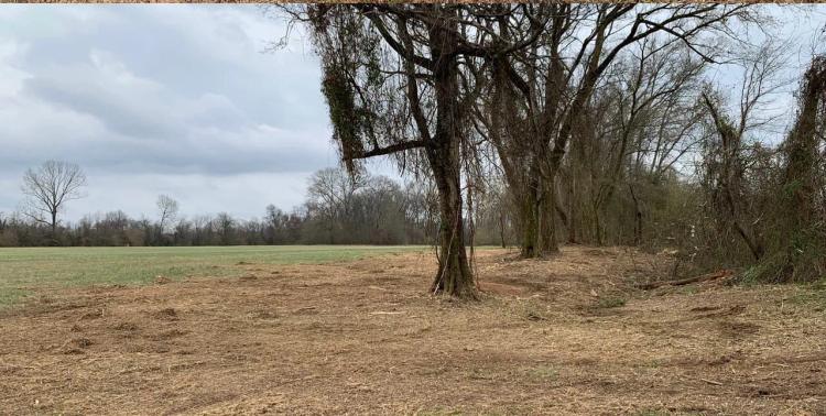 3 Acres on Ouachita River in Hot Spring Co