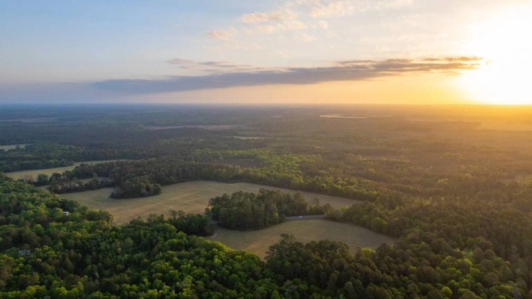 Gregory Tract - Tison Estate - 333± Total Acres