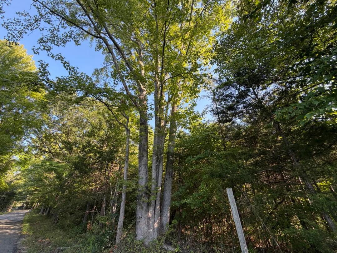 20.58 Acres at 00-0 Tabscott Rd