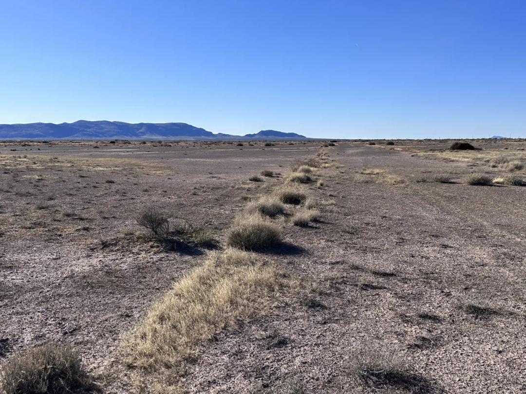 4 adjoining lots consisting of 2 acres - Southern New Mexico Homesite - Mobiles ok