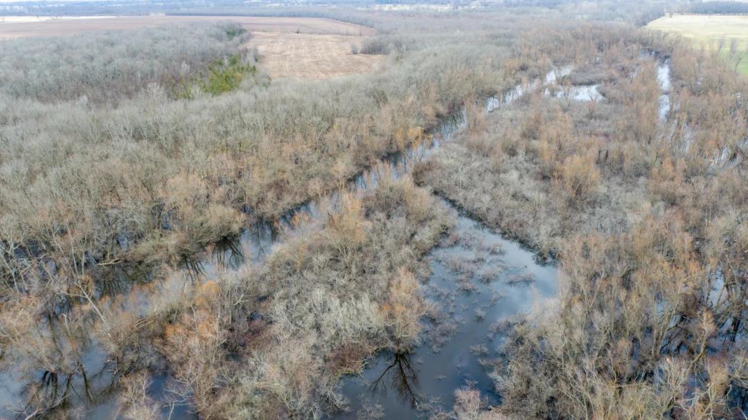 Bolen Slough