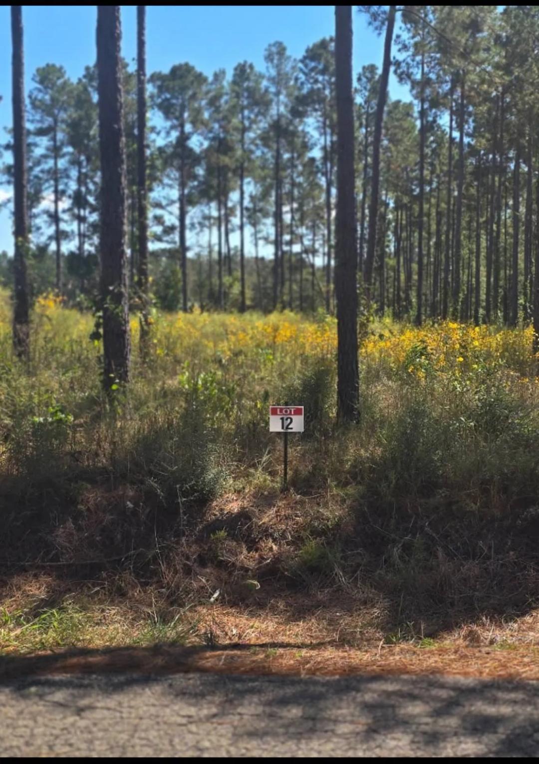 0.58 Acres at 012 Army Recreation Rd