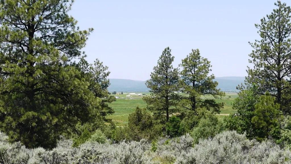 Northern New Mexico land near Tierra Amarilla Tzama 20-36