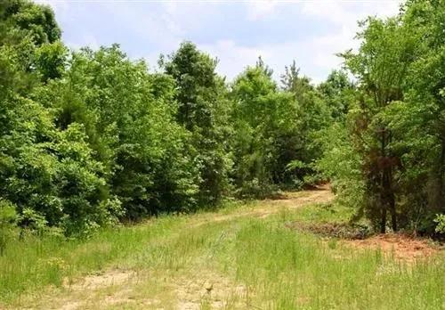 Tennessee, Carroll County, 5.41 Acre