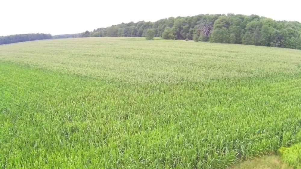 Vacant Land on Hwy 107 & Countryside Drive in Marathon, WI