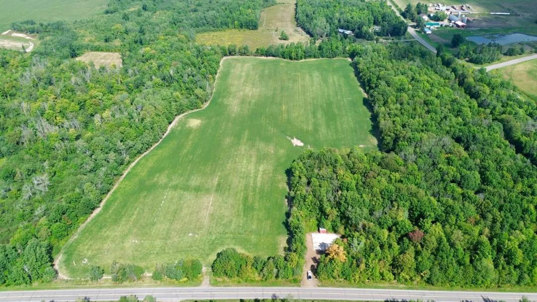 39 Acres of Productive Ground, Mature Timber — Taylor County, WI