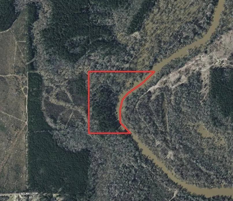 32 ACRES+/- GRANT PARISH, LA