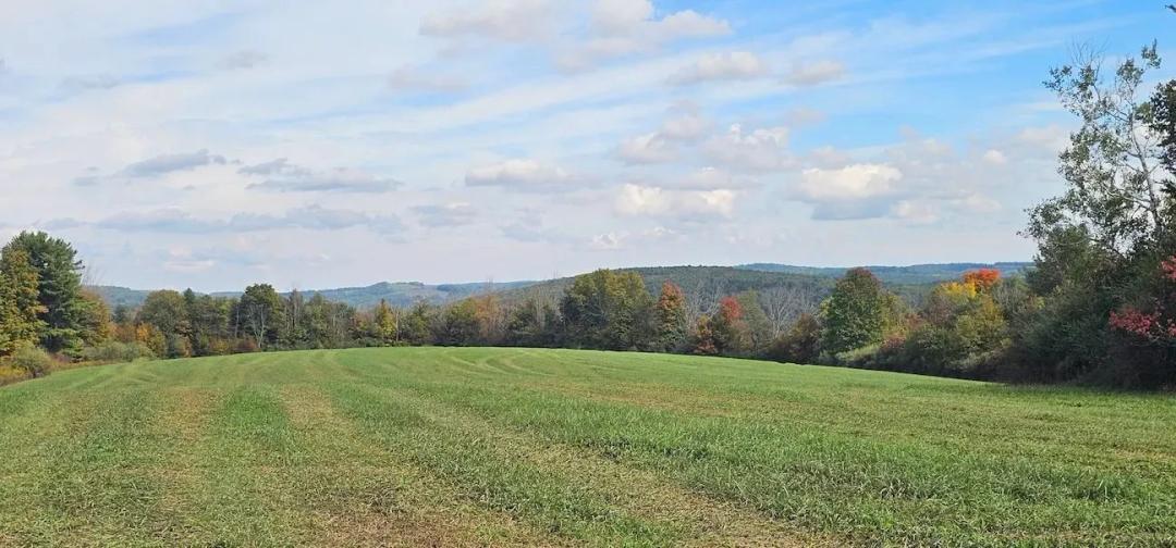 47 acre Hunting and Recreational Property in Rathbone NY Learn Rd