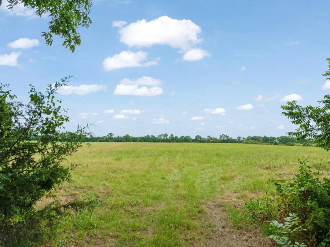 0000 Farm Road 1497 Paris, TX 75462