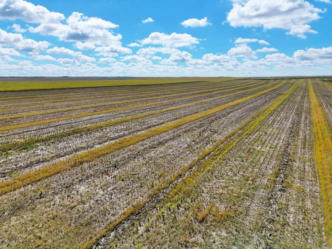 Quality Tillable Quarter with Cropland Cash Lease Agreement
