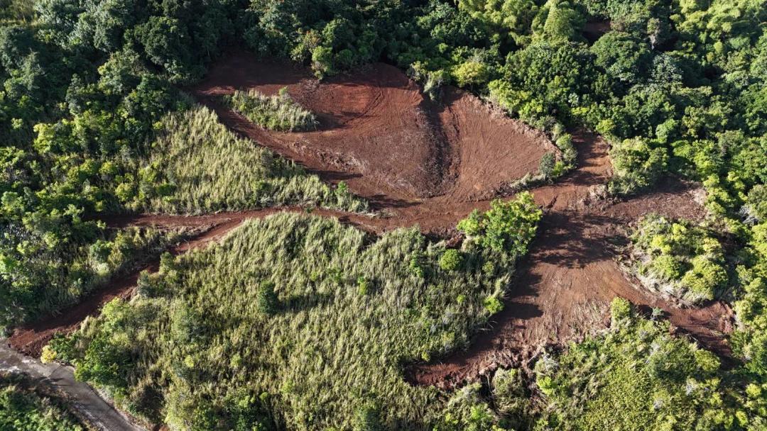 Venta,Sale,Terreno,Land 8.1cdas,7.87acres,Bo.Perchas,Morovis