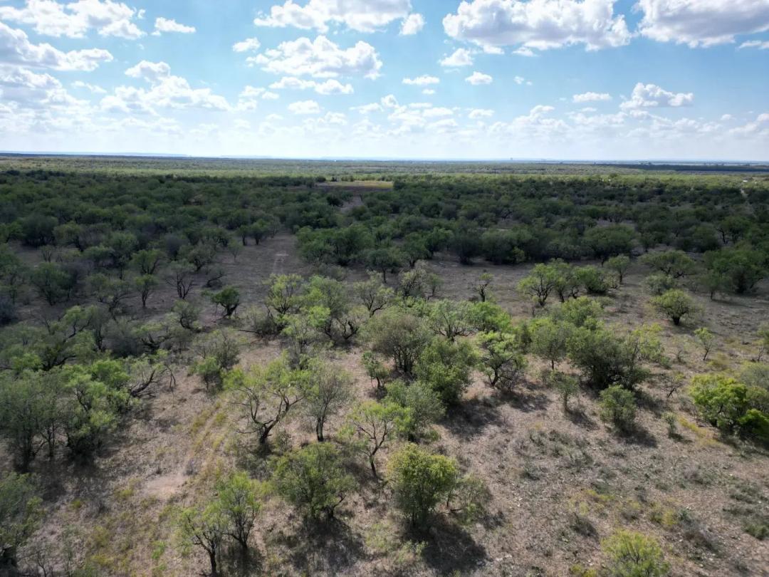 AVAILABLE!! 27 +/- Ac TBD CR 100, Callahan County