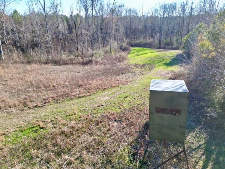 Hunting Land with Pasture in Jefferson County, MS