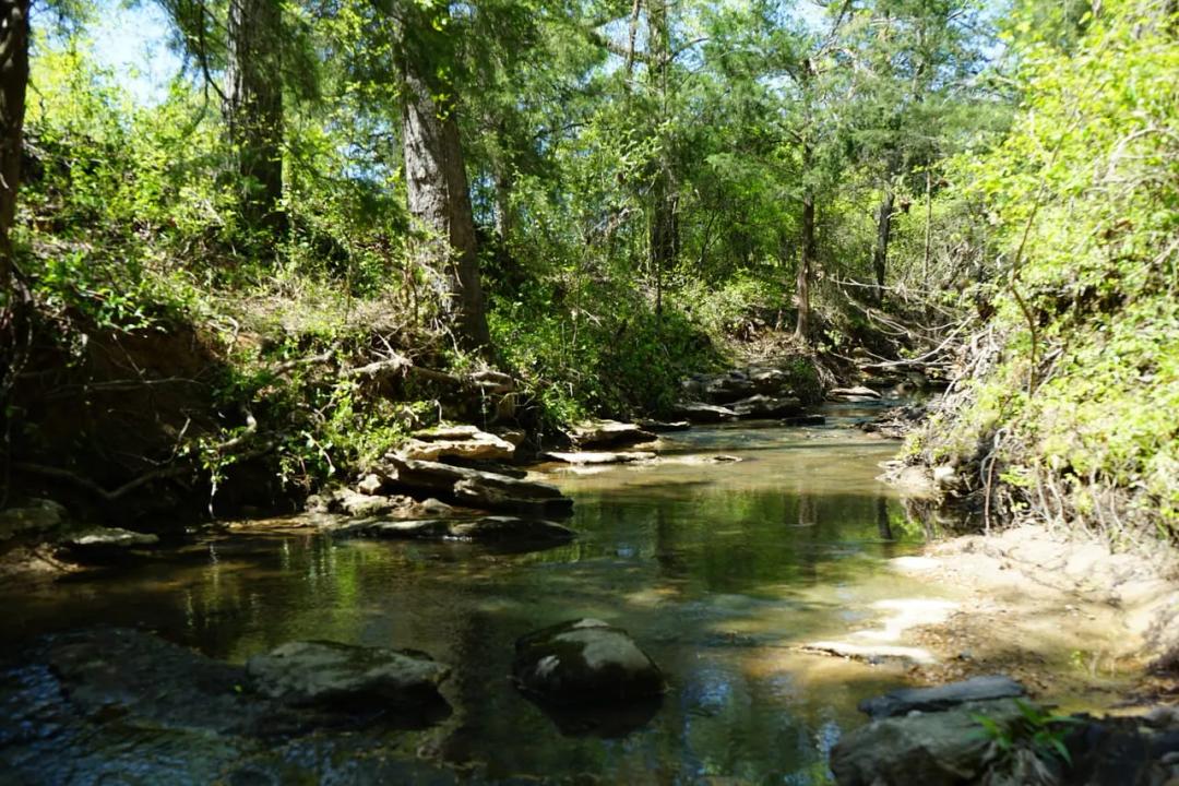 Prime Building Spot & Rec Ranch Land Choctaw County, OK 79 AC
