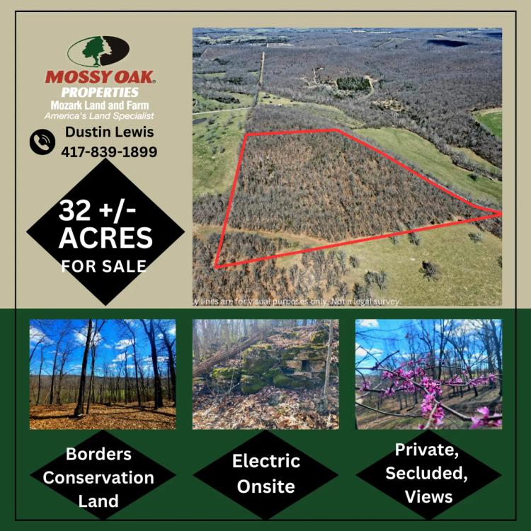 Secluded 32+/- Acres