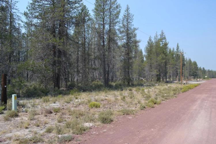 One Acre Lot Near Crater Lake Southern Oregon - HWY 97 - Camping Permitted