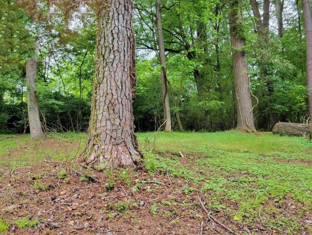 Vacant Land - LaFayette GA