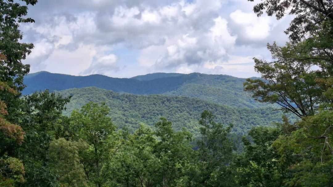 3.29+/- acres - Lot 35 Battle Branch, Swain County!