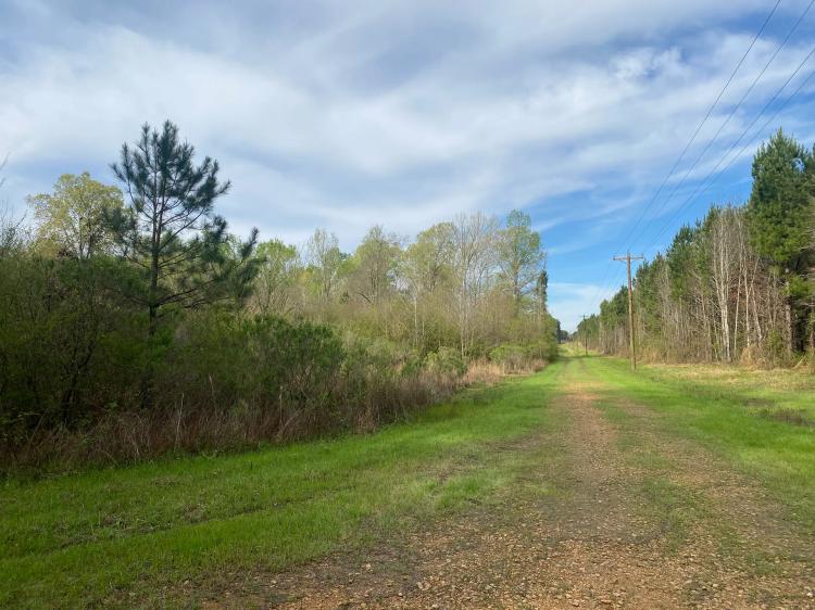 123 Acre Recreational Timberland Tract in Rankin County, MS
