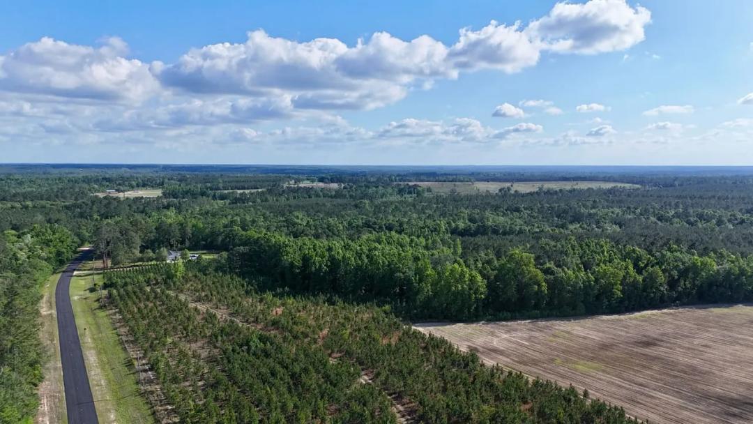 Appling County Outdoor Paradise: 58 Acres with Creek, Pines & Wildlife