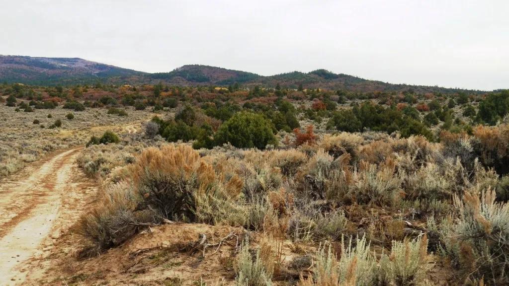 1/2 acre Homesite Tierra Amarilla New Mexico