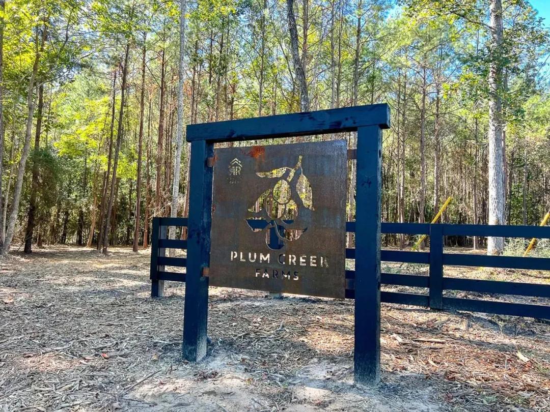 11 Acres | FM 350 | T-14 | Plum Creek Farms