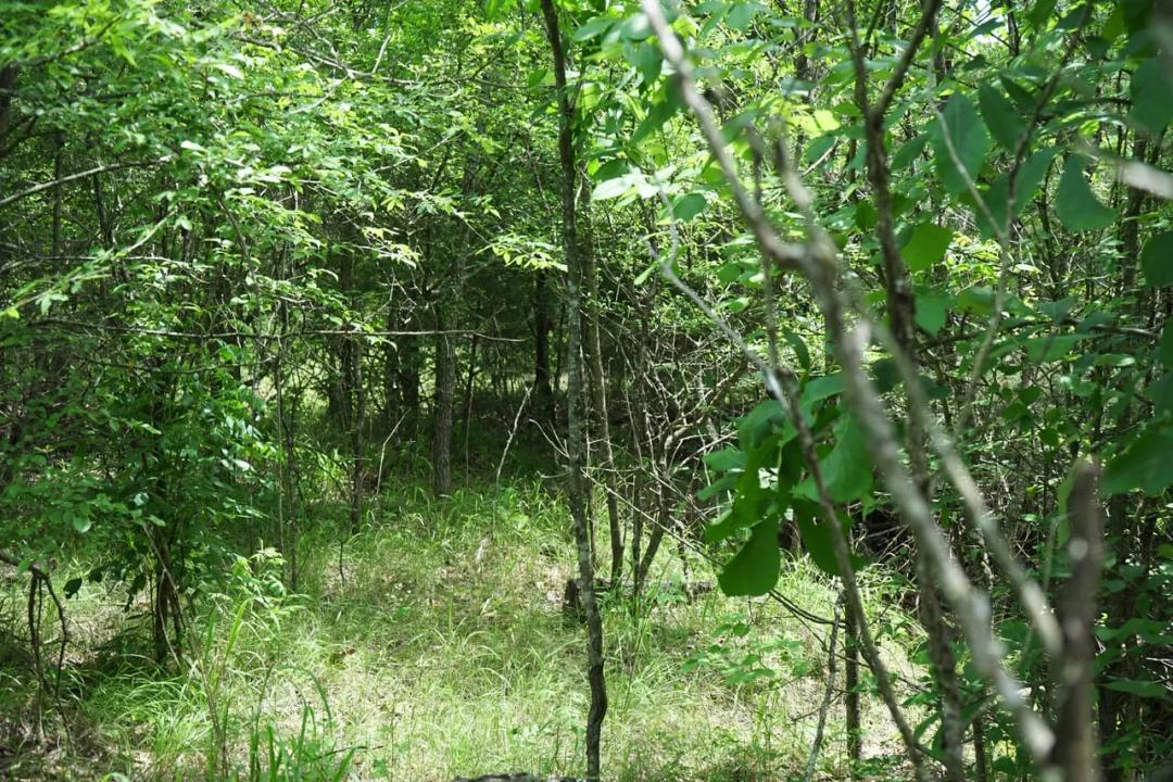 Secluded Building Rolling Hill Ranch Lot Phase 1 Tract 5 Choctaw County, OK 39 AC
