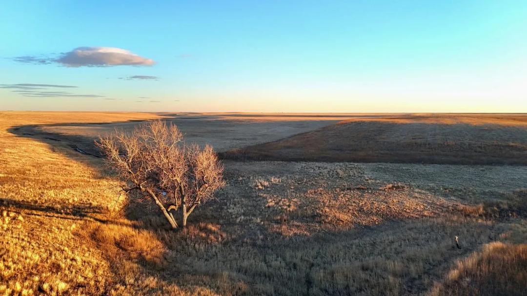 Cropland withCash Lease & Amazing Recreational Opportunities