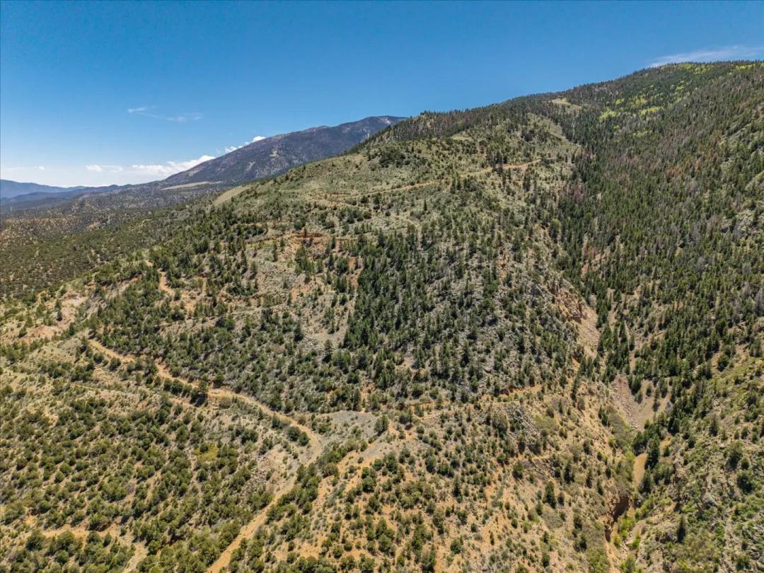 000 TBD County Road 115