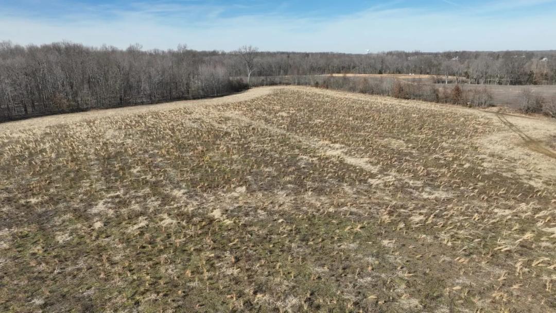 58 Acres Brown County Tract 1