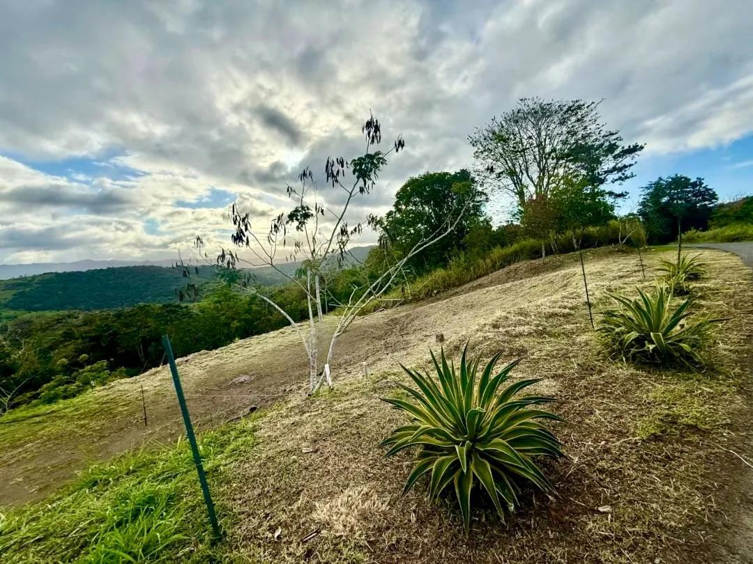 Cidra Campo Bello